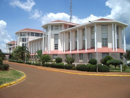 Logo University of Nairobi - Department of Agricultural Economics 