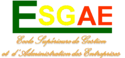 Logo Ecole Supérieure de Gestion et d'Administration des Entreprises - ESGAE