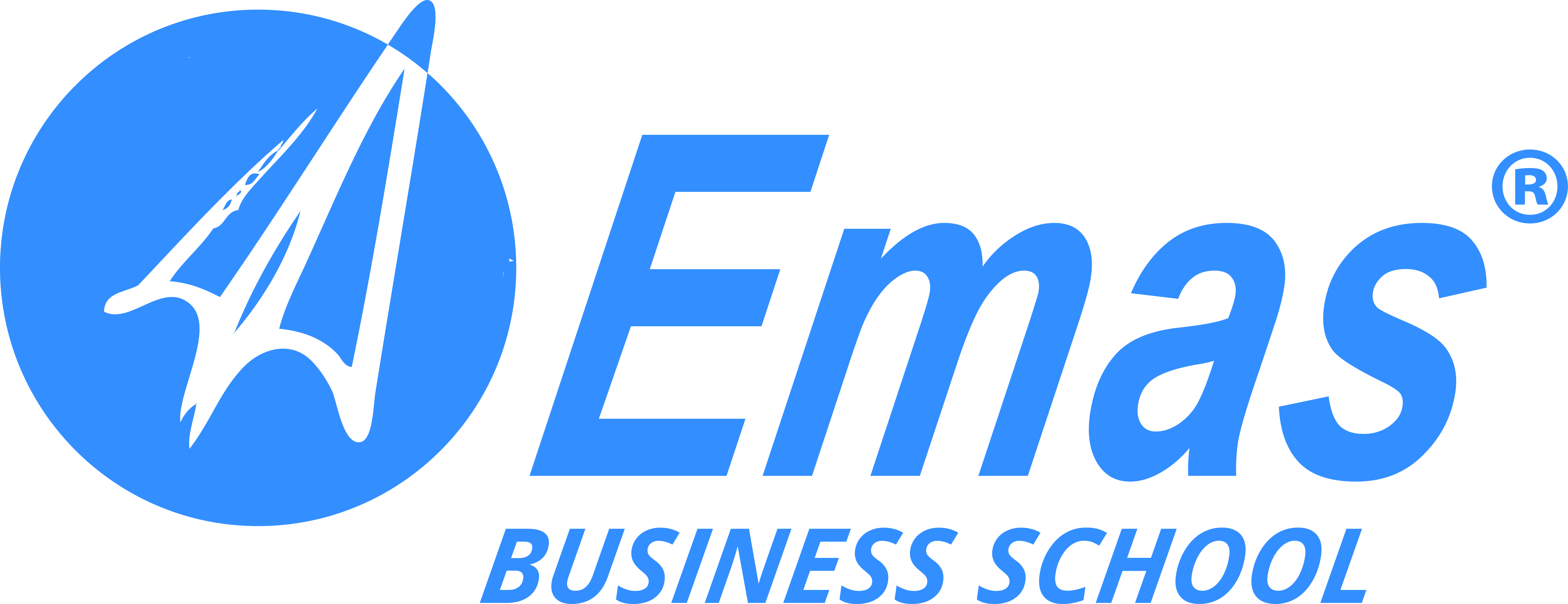 Logo Eurasian Management and Administration School (EMAS Business School)