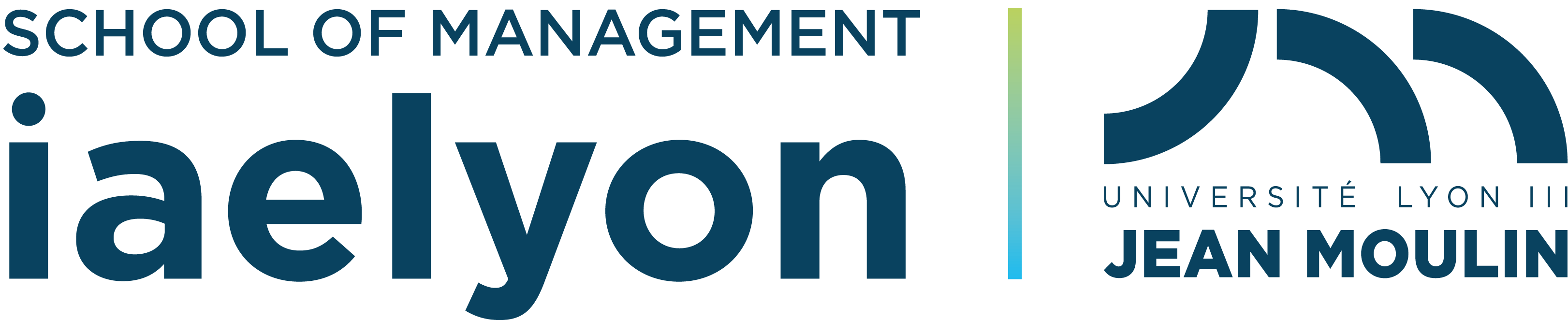 Logo iaelyon School of Management - Université Jean Moulin Lyon 3