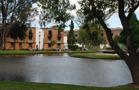 Logo Universidad de las Américas Puebla - Escuela de Negocios y Economia