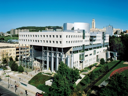 Logo HEC Montreal - Business School / University of Montreal