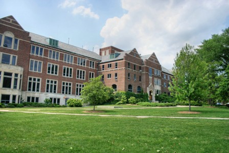Logo Michigan State University
