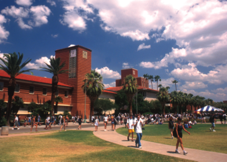 Logo University of Arizona - Eller College of Management 