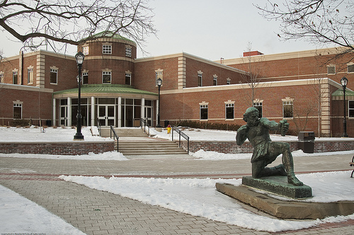 Logo Fairleigh Dickinson University - Becton College 