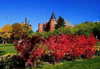 Logo Washington State University 