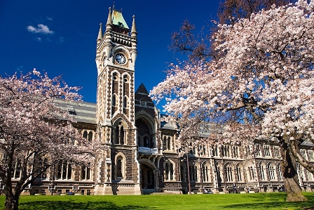 Logo University of Otago - Otago Business School - Department of Management