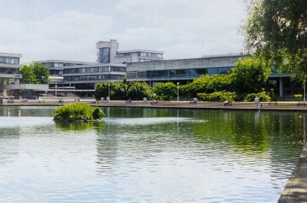 Logo University College Dublin - Michael Smurfit Graduate Business School