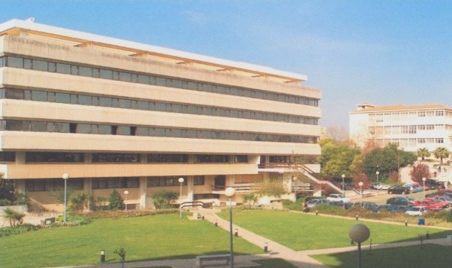 Logo Católica Lisbon School of Business & Economics - Universidade Catolica Portuguesa