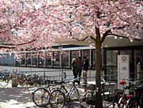 Logo Universitaet Goettingen - Georg-August