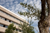 Logo Catolica Global School of Law - Universidade Catolica Portuguesa