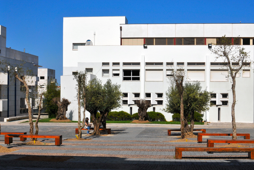 Logo School of Sociology and Public Policy, Iscte - Instituto Universitário de Lisboa