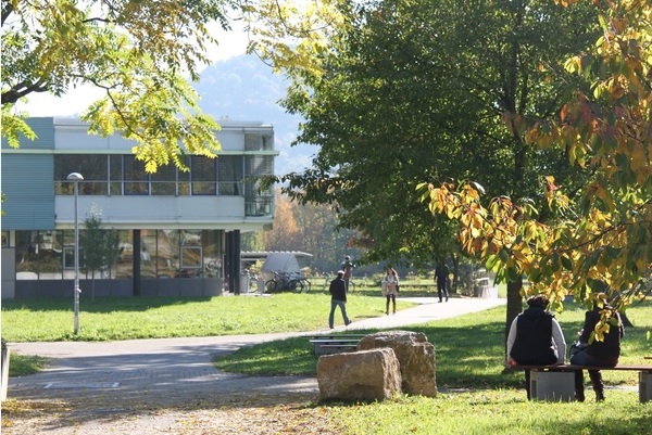 Logo Reutlingen University - ESB Business School