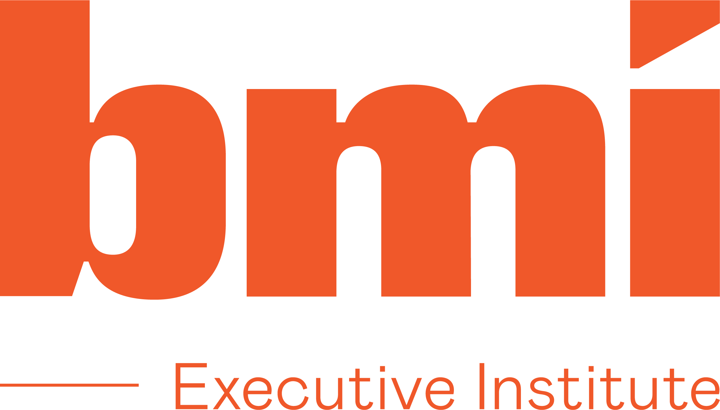 Logo of BMI Executive Institute