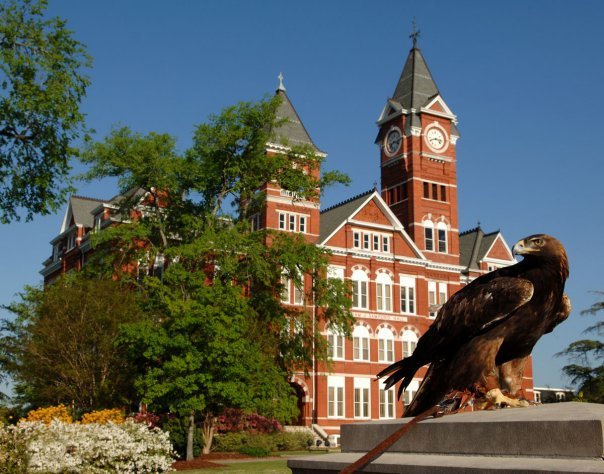 Logo Auburn University - Raymond J. Harbert College of Business