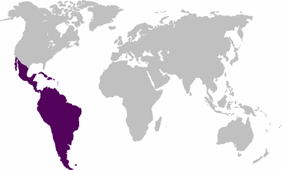 Latin America