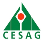 CESAG - Centre Africain d'Etudes Supérieures en Gestion CESAG - Centre Africain d'Etudes Supérieures en Gestion
